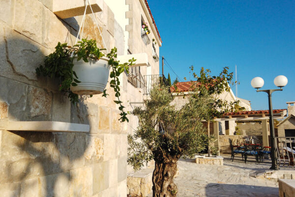 DCIM100MEDIADJI_0483.JPG